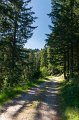 0433Lac vert